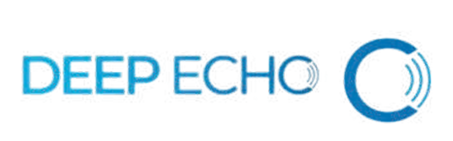 DEEP ECHO logo